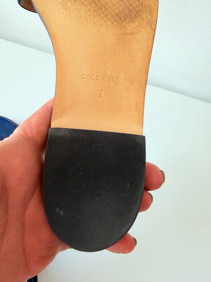 Cole Haan Adderly Blue Indigo Suede and Navy Blue Leather Zip Strap Size 7