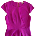 Ted Baker London Hot Pink Fit & Flare Dress