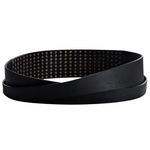 All Saints Aja Studded Belt Size M/L NWT