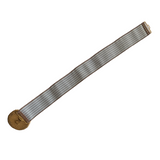 Lion Stretch Belt