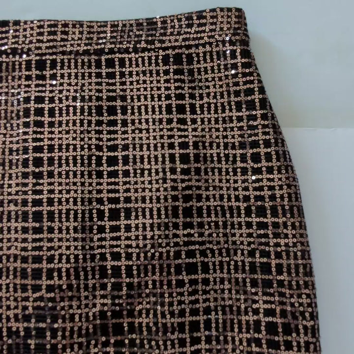 Michelle Mason Sequin Skirt Size 6