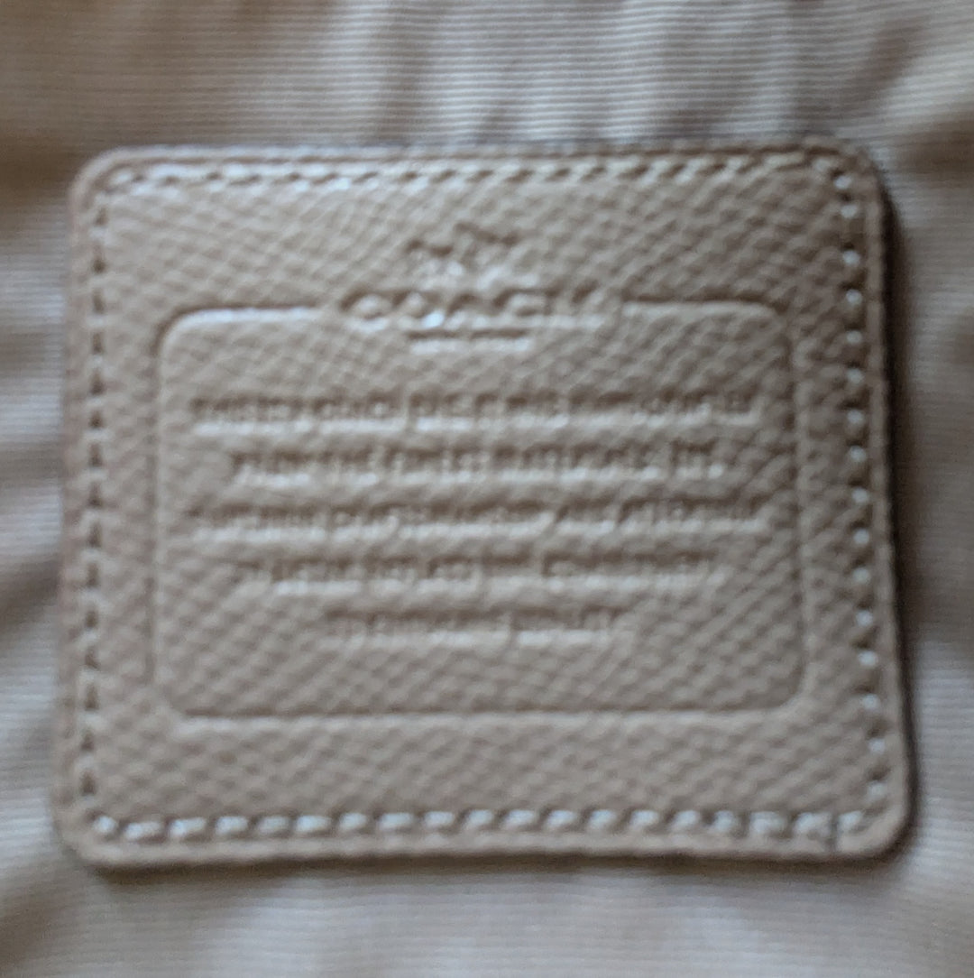 Coach Mini Ruby Leather Crossbody Bag