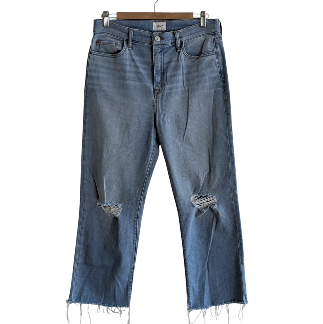 Hudson Noa Light Wash Jeans Size 29