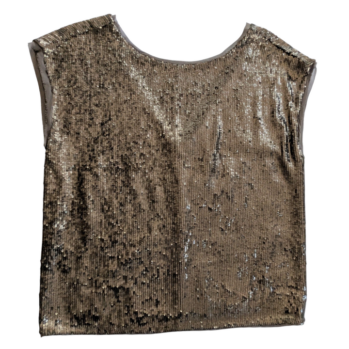 Joie Marania Sequin Top Size XS