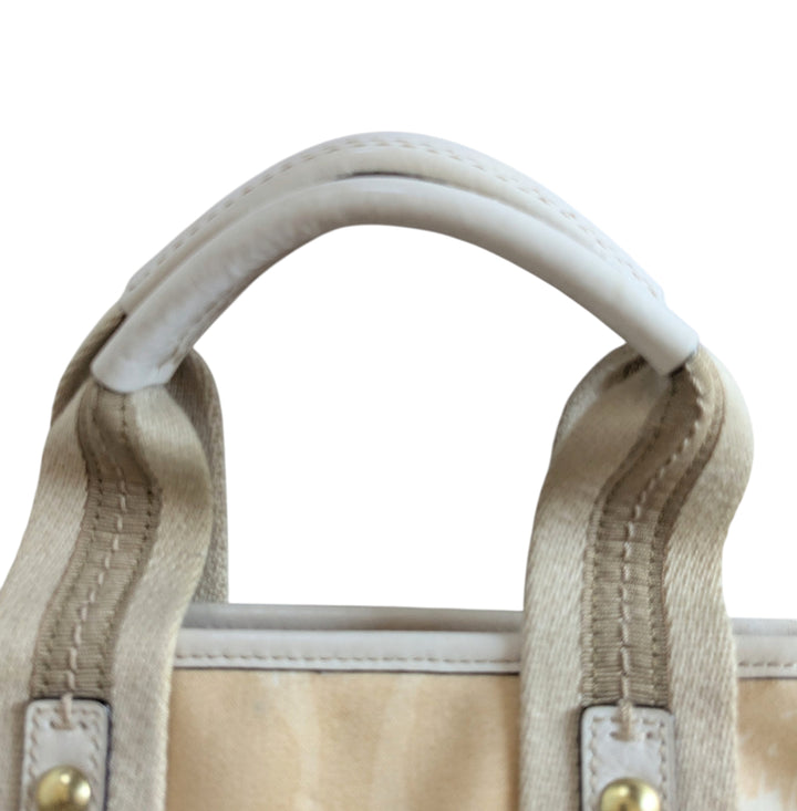 Coach Hampton Scribble Signature Mini Tote 10804