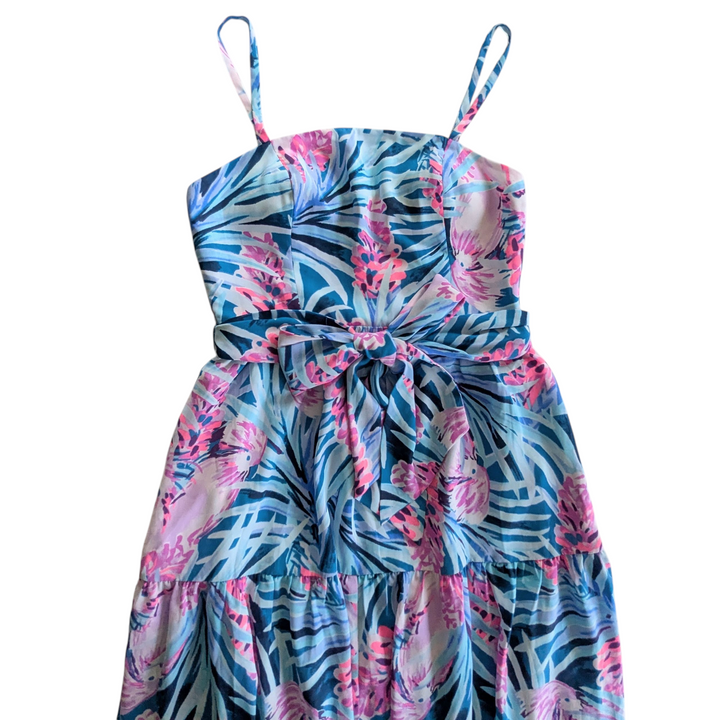 Lilly Pulitzer Aviana Maxi Dress Size 0